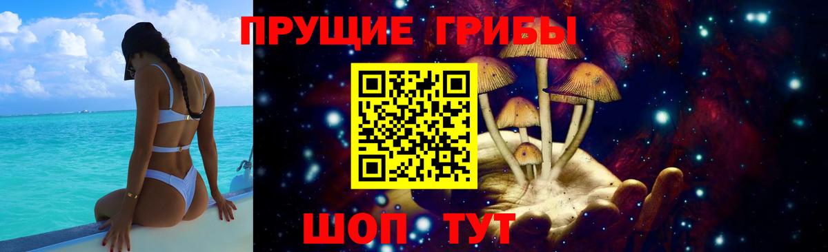 Псилоцибиновые грибы Psilocybe Бахчисарай